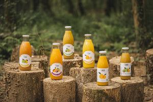 5 jus artisanaux incontournables pour une rentrée vitaminée et un automne plein d’énergie