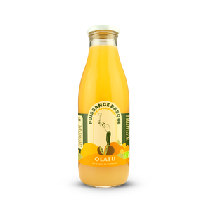 Jus de pomme kiwi BIO OLATU 75cl - x3